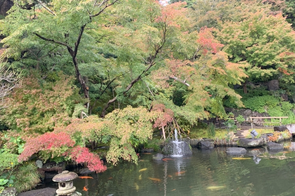 境内の花々