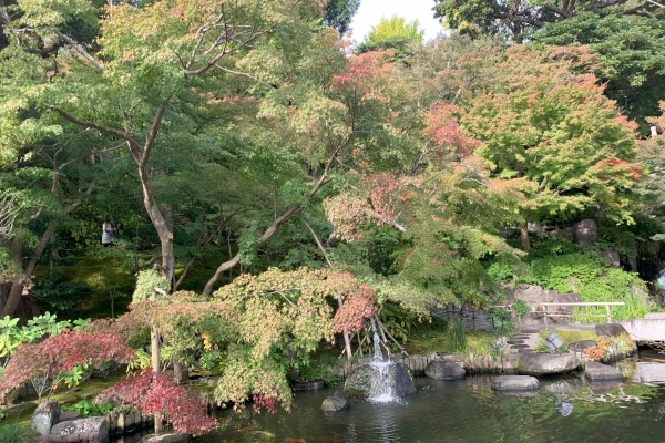 境内の花々